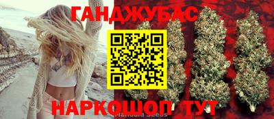 сатива Гай
