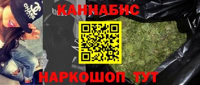 сатива Гай