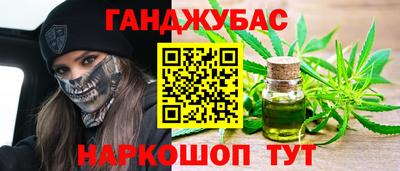 сатива Гай