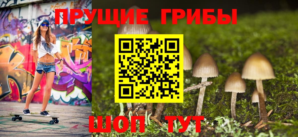 Гурьевск  Галлюциногенные грибы MAGIC MUSHROOMS  Вход с VPN 